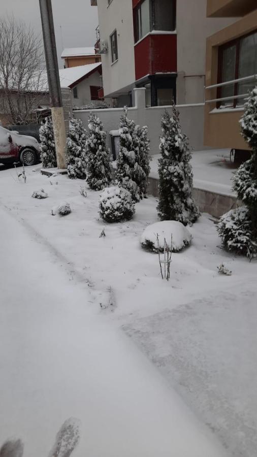 דירות Năvodari Casa Andi מראה חיצוני תמונה